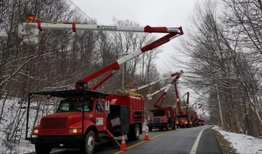 Taille de dégagement